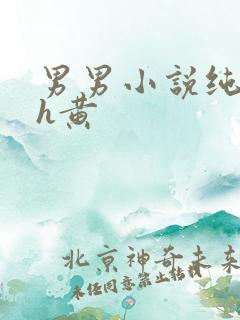 男男小说纯肉高h黄