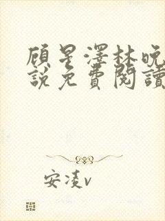 顾星泽林晚晴小说免费阅读最新章节