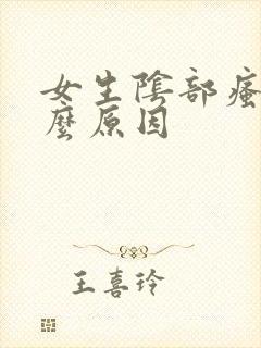 女生阴部瘙痒什么原因