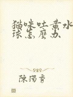 猫咪吐黄水和毛球怎么办