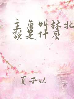 主角叫林北的小说是什么