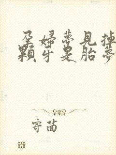 孕妇梦见掉了两颗牙是胎梦吗