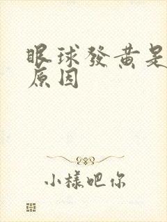 眼球发黄是什么原因