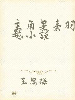 主角是秦羽的穿越小说