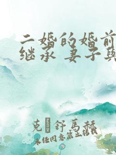 二婚的婚前财产继承 妻子与子女如何分配