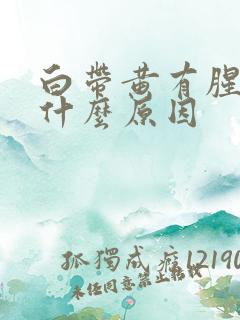 白带黄有腥味是什么原因