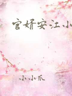 官婿安江小说