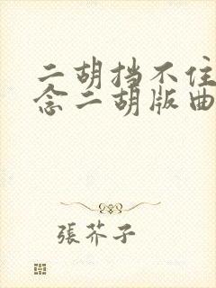 二胡挡不住的思念二胡版曲谱