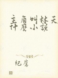 主角叫林天的叫什么小说