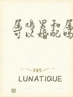 属鸡男和属虎女可以婚配吗