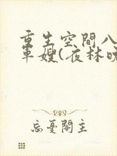 重生空间八零小军嫂(夜林晚)