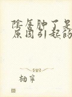 阴唇肿了是什么原因引起的