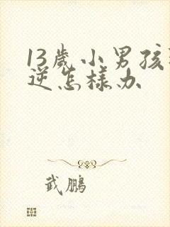 13岁小男孩叛逆怎样办