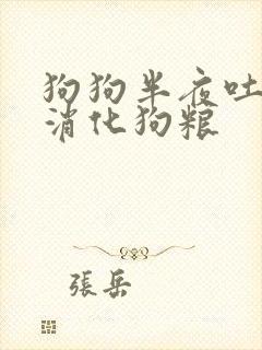 狗狗半夜吐了半消化狗粮