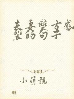 夫妻双方感情破裂的句子