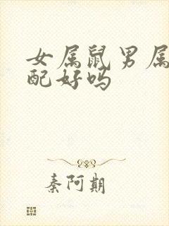 女属鼠男属猪婚配好吗