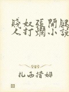 贱奴张开腿给主人打烂小说