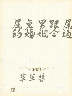 属兔男跟属虎女的婚姻合适吗