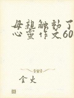 母亲触动了我的心灵作文600字