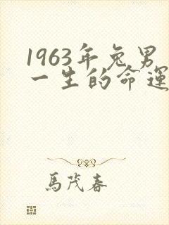 1963年兔男一生的命运详解
