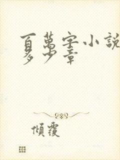 百万字小说大概多少章