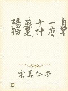 阳历十一月28号是什么星座