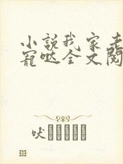 小说我家老公超宠哒全文阅读