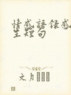 情感语录感悟人生短句