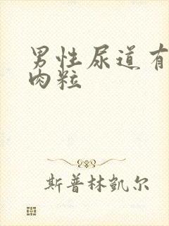 男性尿道有很多肉粒