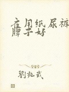 夜用纸尿裤哪个牌子好