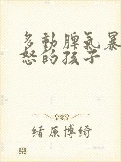 多动脾气暴躁易怒的孩子