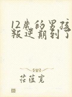 12岁的男孩子叛逆期到了吗