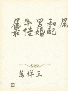 属牛男和属虎女最佳婚配