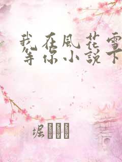 我在风花雪月里等你小说下载