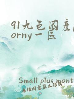 91九色国产porny一区