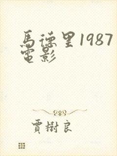 马德里1987电影