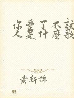 你爱了不该爱的人是什么歌