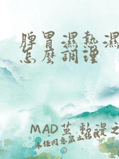 脾胃湿热湿气重怎么调理