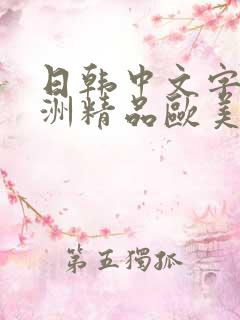 日韩中文字幕亚洲精品欧美