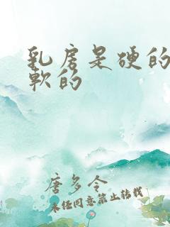 乳房是硬的还是软的