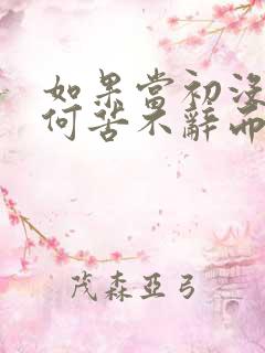 如果当初没拒绝何苦不辞而别歌词是什么意思