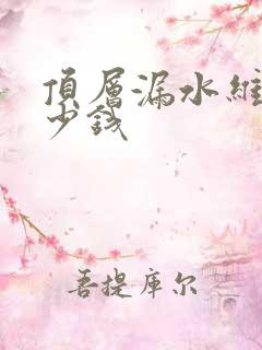 顶层漏水维修多少钱