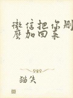 微信把你删了怎么加回来