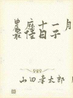 农历十一月结婚最佳日子