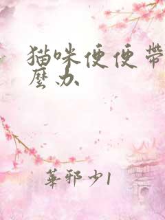 猫咪便便带血怎么办