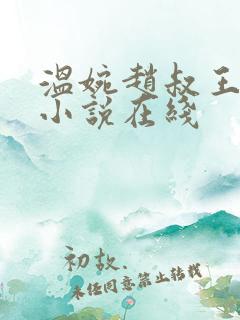 温婉赵叔王磊的小说在线