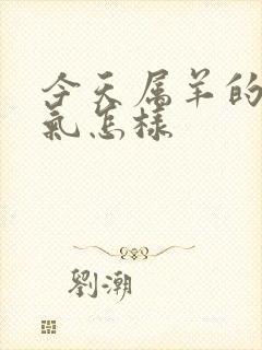 今天属羊的财运气怎样