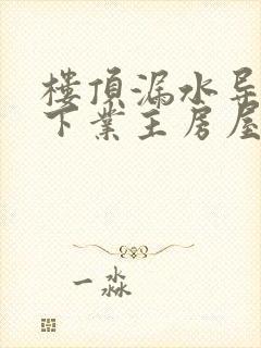 楼顶漏水导致楼下业主房屋受损是否赔偿