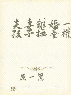 夫妻离婚一个男孩子抚养权怎么判定