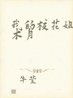 我的校花姐姐 木月